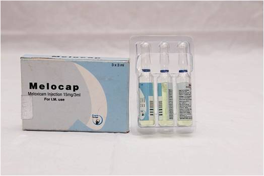 MELOCAP 15mg Injection